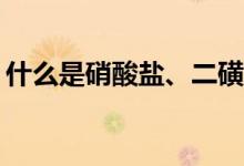 什么是硝酸盐、二磺酸盐和三磺酸盐的木炭？