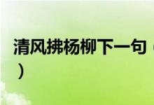 清风拂杨柳下一句（清风拂杨柳下一句是什么）