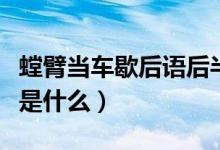 螳臂当车歇后语后半部分（螳臂当车的歇后语是什么）