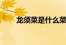 龙须菜是什么菜（龙须菜是什么菜）
