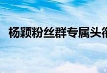 杨颖粉丝群专属头衔（yy粉丝群怎么加入）