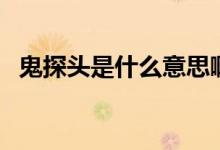 鬼探头是什么意思啊（鬼探头是什么意思）