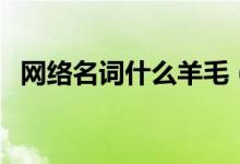 网络名词什么羊毛（网络名词什么叫沙雕）