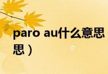 paro au什么意思（paro和au分别是什么意思）