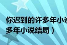 你迟到的许多年小说结局是什么（你迟到的许多年小说结局）