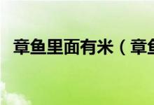章鱼里面有米（章鱼里的大米是怎么回事）