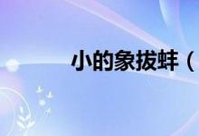 小的象拔蚌（象牙蚌长什么样）