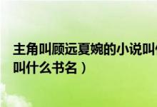 主角叫顾远夏婉的小说叫什么名字（主角叫顾远夏婉的小说叫什么书名）