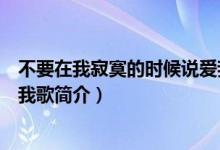 不要在我寂寞的时候说爱我歌词（不要在我寂寞的时候说爱我歌简介）