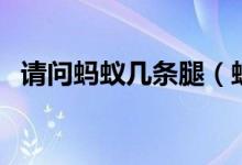 请问蚂蚁几条腿（蚂蚁几条腿蜜蜂几条腿）