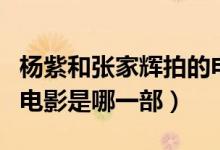杨紫和张家辉拍的电影（张家辉和杨紫合作的电影是哪一部）