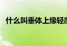 什么叫垂体上缘轻度隆起（什么叫垂线段）