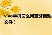 vivo手机怎么用蓝牙自动接听电话（vivo手机怎么用蓝牙传文件）