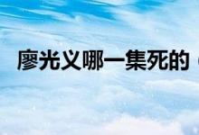 廖光义哪一集死的（廖光义将军怎么死的）