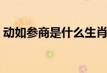 动如参商是什么生肖（动如参商是什么意思）