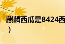 麒麟西瓜是8424西瓜吗（麒麟西瓜是8424吗）
