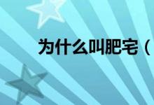 为什么叫肥宅（肥宅是啥意思来着）