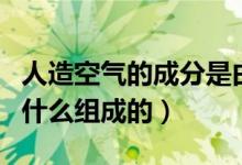 人造空气的成分是由什么组成的（人造空气由什么组成的）
