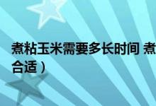 煮粘玉米需要多长时间 煮多久最好吃（问粘玉米煮多长时间合适）
