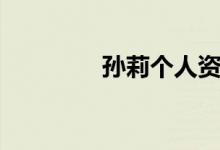 孙莉个人资料（孙莉介绍）