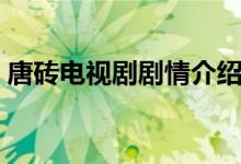 唐砖电视剧剧情介绍（唐砖电视剧剧情简介）