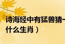 诗海经中有猛兽猜一生肖（诗海经中的猛兽是什么生肖）