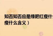 知否知否应是绿肥红瘦什么时候出的（知否知否应是绿肥红瘦什么含义）