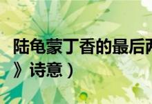 陆龟蒙丁香的最后两句的意思（陆龟蒙《丁香》诗意）