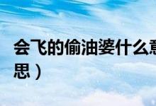 会飞的偷油婆什么意思（会飞的偷油婆什么意思）