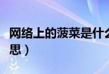 网络上的菠菜是什么意思（网上菠菜是什么意思）