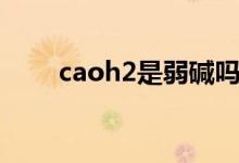 caoh2是弱碱吗（caoh2是沉淀吗）