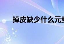 掉皮缺少什么元素（dpq是什么简写）