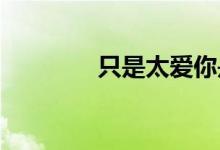 只是太爱你是什么风格的歌