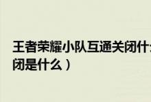 王者荣耀小队互通关闭什么时候开启（王者荣耀小队互通关闭是什么）
