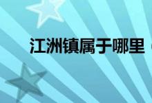 江洲镇属于哪里（江洲镇属于哪个市）