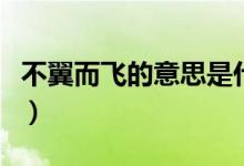 不翼而飞的意思是什么（不翼而飞的意思是啥）