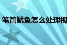 笔管鱿鱼怎么处理视频（笔管鱿鱼怎么清洗）