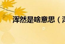 浑然是啥意思（浑然一片是什么意思）