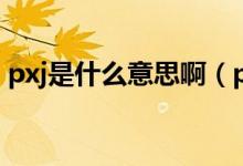 pxj是什么意思啊（pxj是什么意思哔哩哔哩）