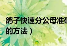 鸽子快速分公母准确的方法（鸽子快速分公母的方法）