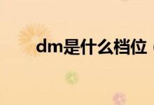 dm是什么档位（dm是什么单位的）