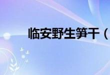 临安野生笋干（la医师是个什么证）