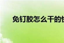 免钉胶怎么干的快（免钉胶怎么用的）