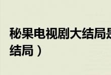 秘果电视剧大结局是什么意思（秘果电视剧大结局）