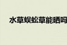 水草蜈蚣草能晒吗（水草蜈蚣草怎么养）