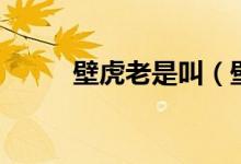 壁虎老是叫（壁虎叫是怎么回事）