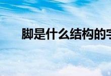 脚是什么结构的字体（脚是什么结构）