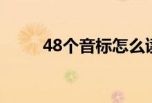 48个音标怎么读（48个音标如下）