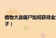 植物大战僵尸如何获得金坷垃（植物大战僵尸如何获得石果子）