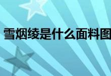 雪烟绫是什么面料图片（雪烟绫是什么面料）